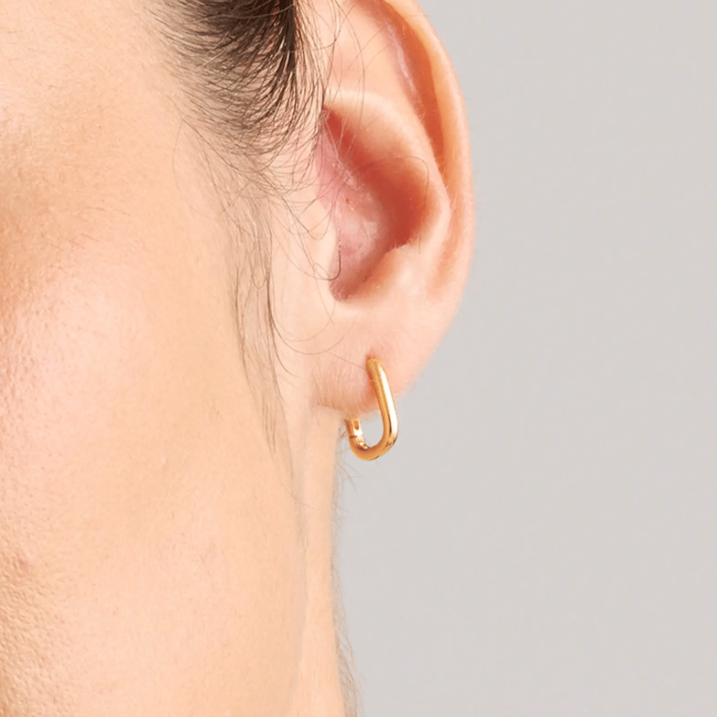 Earring - 49_3e51a2fb-e2a7-4bee-80f1-edce29bf3a4e